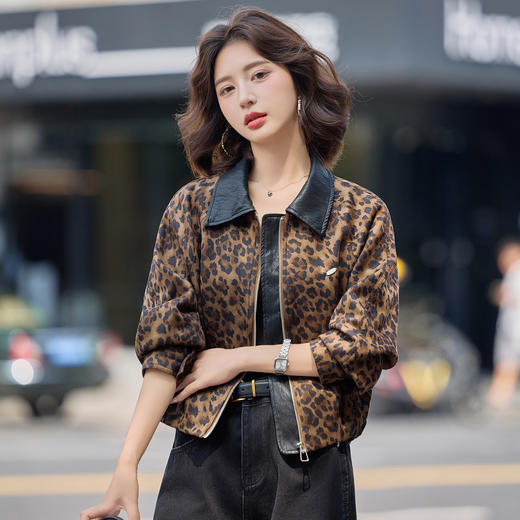 雀说美式复古豹纹翻领撞色外套女新款设计感小个子休闲夹克AL9070 商品图1