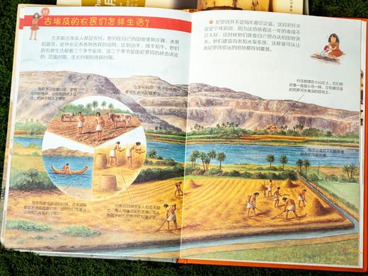 《来问我吧：德国百科全书绘本》(全20册）， 德国原版引进，“亚马逊五星级好书”，数十位德国科学家、作家、画家联手打造。 商品图3