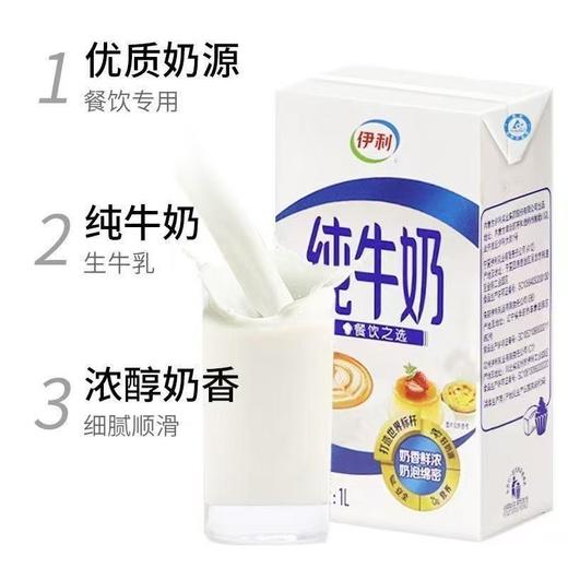 1L纯牛奶集合/C 商品图5