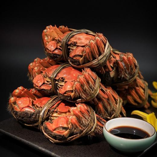 蟹太太——黑金礼盒旗舰5999型（蟹卡）内配：公6.0两*4只+母5.0两*4只 商品图3