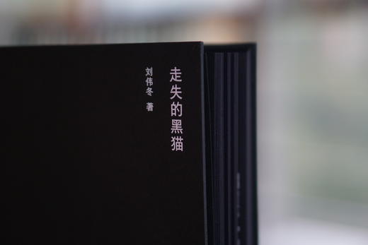 走失的黑猫 刘伟冬诗集 诗歌/文学 精装裸脊，黑纸印银 商品图3