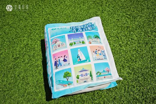 武大珞珈印迹抱枕毯 商品图0