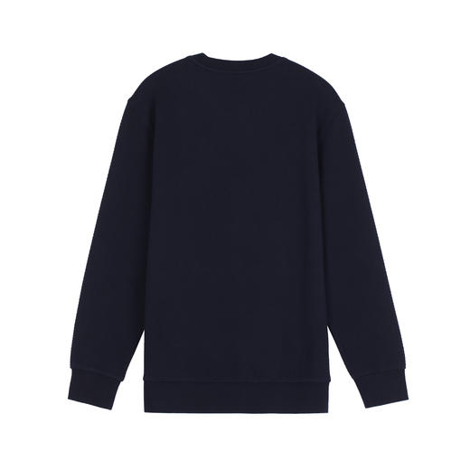 【铂雅时尚圆领外穿上衣】SCHIESSER德国舒雅高端铂雅时尚外穿圆领长袖上衣抗皱抗起球易打理99/25412U 商品图4