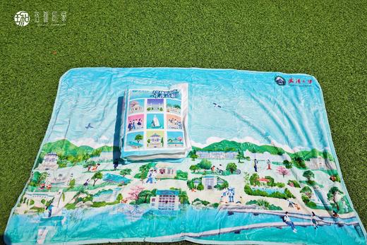 武大珞珈印迹抱枕毯 商品图3