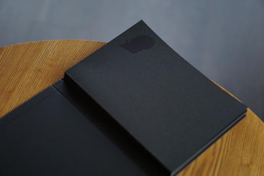 走失的黑猫 刘伟冬诗集 诗歌/文学 精装裸脊，黑纸印银 商品图6