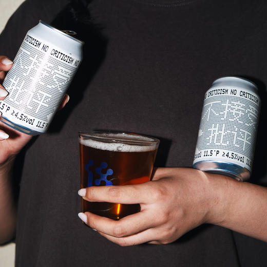 拾捌精酿 不接受批评·NO CRITICISM | 社交ipa 印度淡色艾尔啤酒 330ML 商品图3