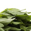 【蔬】油麦菜一颗约200g 商品缩略图5