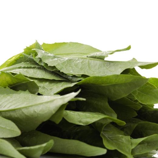 【蔬】油麦菜一颗约200g 商品图5