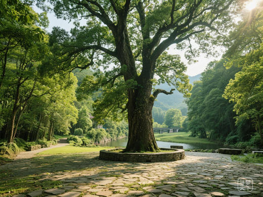 “探秘花瑶秘境，定格民俗光影”  ·邵阳·隆回花瑶、旺溪瀑布、崇木凼古树林、白水洞梯田3/6 天摄影团 商品图3