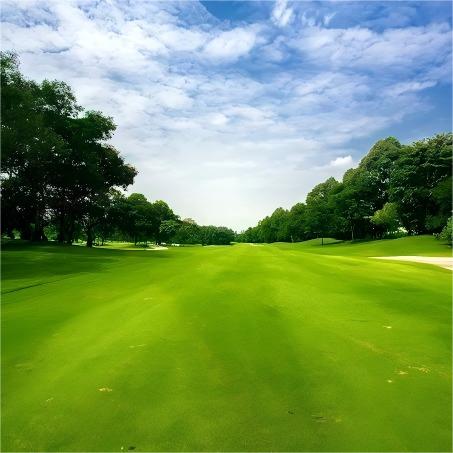 双溪龙高尔夫乡村俱乐部  Sungai Long Golf & Country Club   I  吉隆坡高尔夫球场 I 马来西亚高尔夫俱乐部  I  东南亚 商品图3