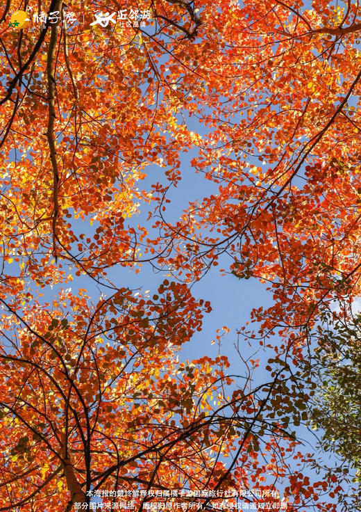 【北域喀示·画境疆湖】8日游 商品图1