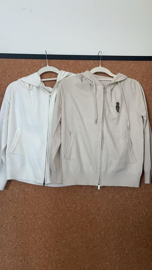 TY487-拉夫劳伦 休闲舒适纯色松弛校园风百搭卫衣 男女同款(PG*MM) 商品图0