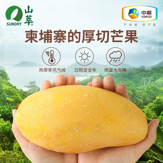 中粮山萃芒果干128g 商品图1