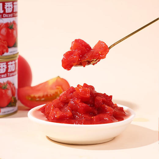 新疆冠农（有机）番茄丁 西红柿 有机食品认证 商品图3