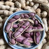 福建特产正宗龙岩湿烤花生带壳水煮原味酥脆四粒红花生 商品缩略图2