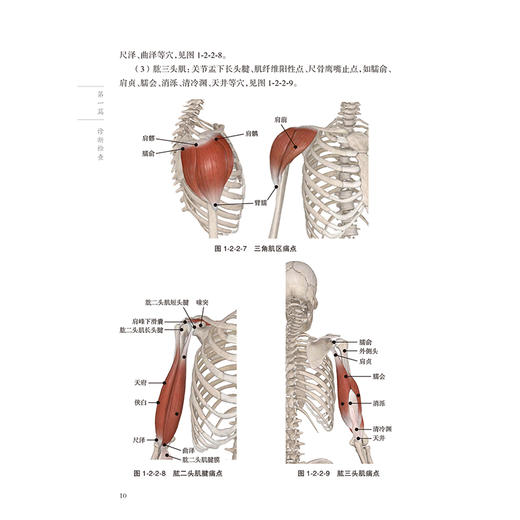 筋伤疼痛特色治疗技术 唐流刚 本书图文并茂 实践操作可重复性强 对筋伤推拿疼痛康复等科临床医师有一定的参考价值人民卫生出版社 商品图4