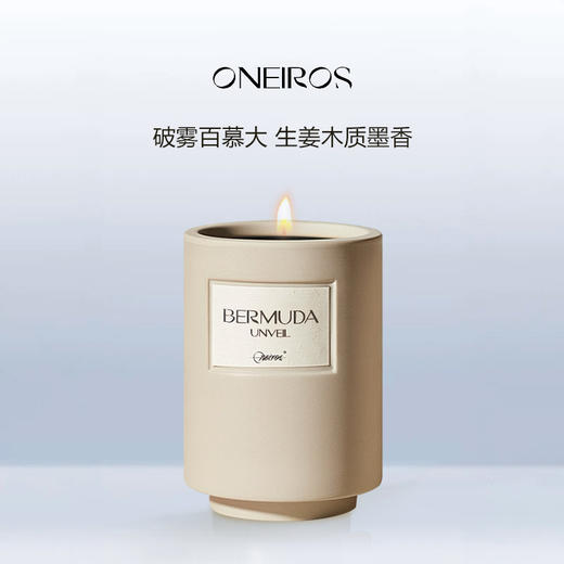 Oneiros香薰蜡烛280g 家居香氛海洋调木质调番茄叶玫瑰墨香 商品图2