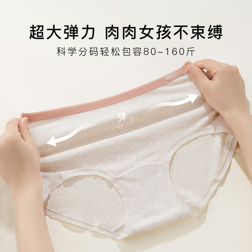 【3条装】裸感无痕舒适彩棉女士内裤女中高腰轻收腹大码不夹臀CM-01微笑高腰内裤 商品图8