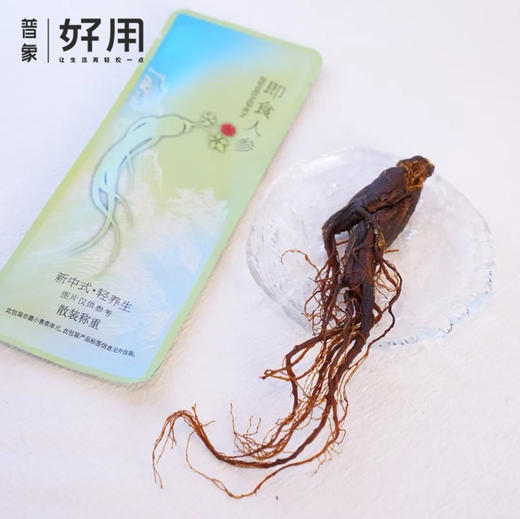 免费试吃【新中式·轻滋补】非遗工艺原始拾光 即食人参 商品图0