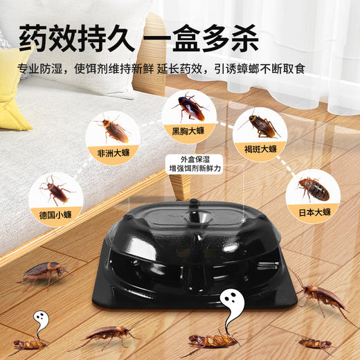 宜家杀蟑铒剂买一送一（6+3）下单到手共18个 商品图2