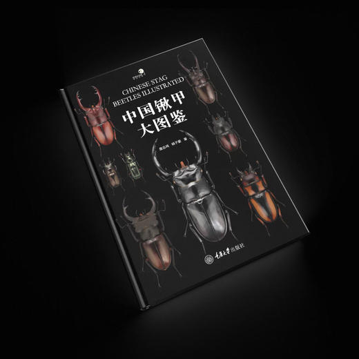 【官方正版】《中国锹甲大图鉴》甲虫书籍甲虫科普锹甲昆虫自然科学 ★ 牧野官方授权-分销 商品图3
