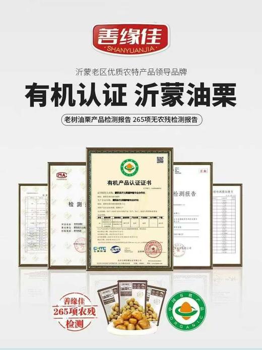 【善缘佳】野生油栗仁 开袋即食板栗沂蒙山特产油栗仁板栗仁50G12包 商品图1