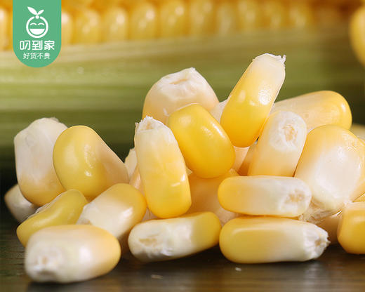 长泰新鲜甜玉米（1.5kg±100g/份） 商品图5