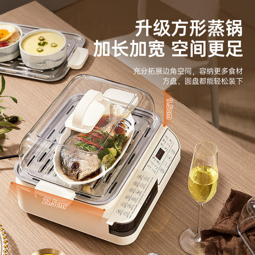 SERAFINOZANI尚尼
多功能电蒸锅
SZ-B50 商品图7