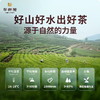 华祥苑特级茶叶 雅士白毫银针福鼎白茶100g小罐茶礼 商品缩略图3