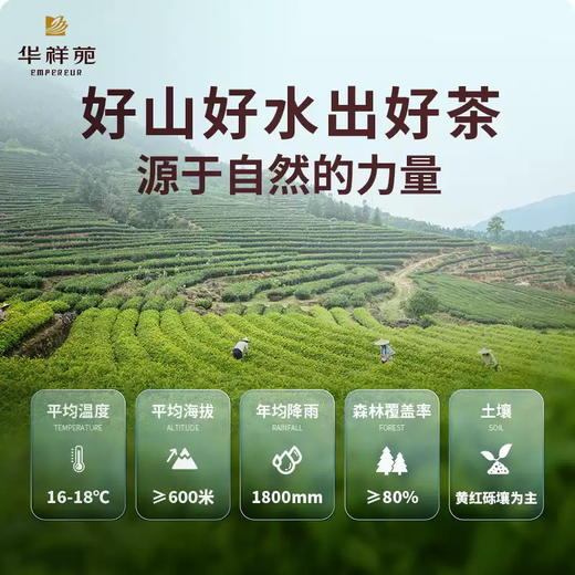 华祥苑特级茶叶 雅士白毫银针福鼎白茶100g小罐茶礼 商品图3