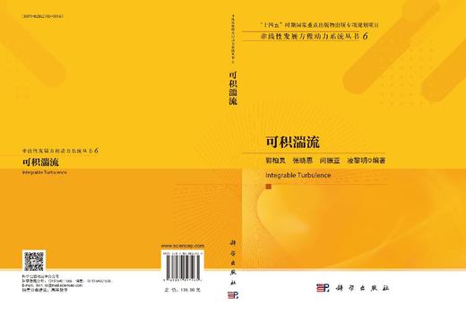 可积湍流 商品图3