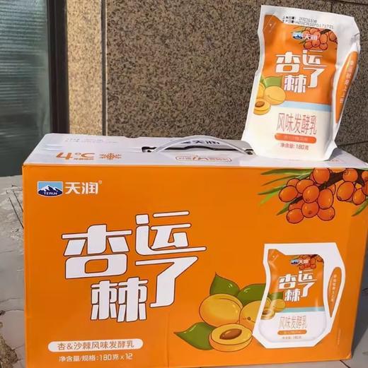 杏运棘了 风味发酵180g×12 商品图1