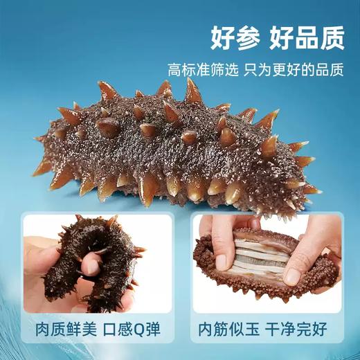【到手2斤】冠参岛即食海参500g*2盒 8-12头/斤 产地直发 品质保证 商品图3