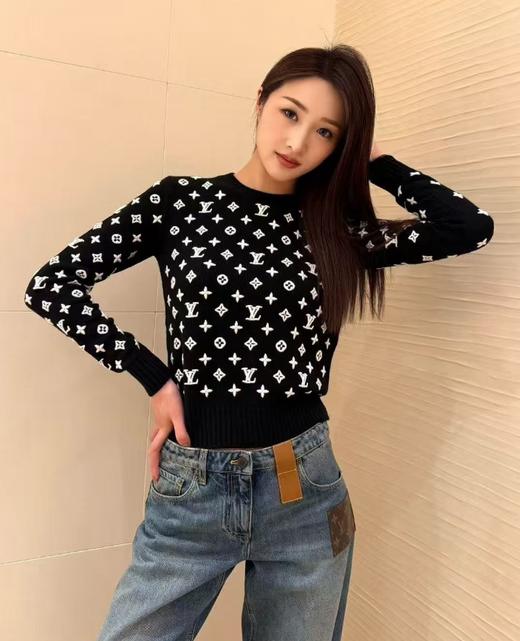 TY470-Louis Vuitto  圆领刺绣针织套头毛衣9.16直播款 商品图2