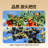 【超值90袋】宁之春 红+黑 红枸杞原浆，黑枸杞原浆礼盒30ml/袋 共 2700ml（30ml红45袋+30ml黑45袋）早C晚A 鲜果鲜榨 天然原浆 商品缩略图3