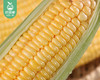 长泰新鲜甜玉米（1.5kg±100g/份） 商品缩略图3