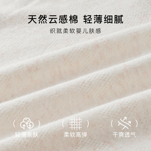 【3条装】裸感无痕舒适彩棉女士内裤女中高腰轻收腹大码不夹臀CM-01微笑高腰内裤 商品图5