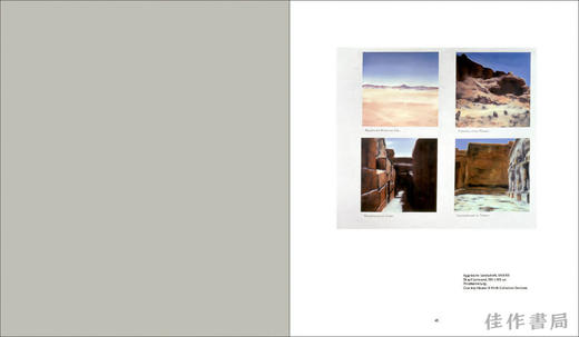 Gerhard Richter: Landscape / 格哈德·里希特：风景 商品图2