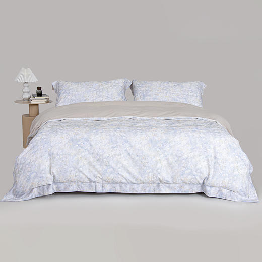 云丝锦暖绒数码四件套-逅花园-灰/抗菌 商品图0