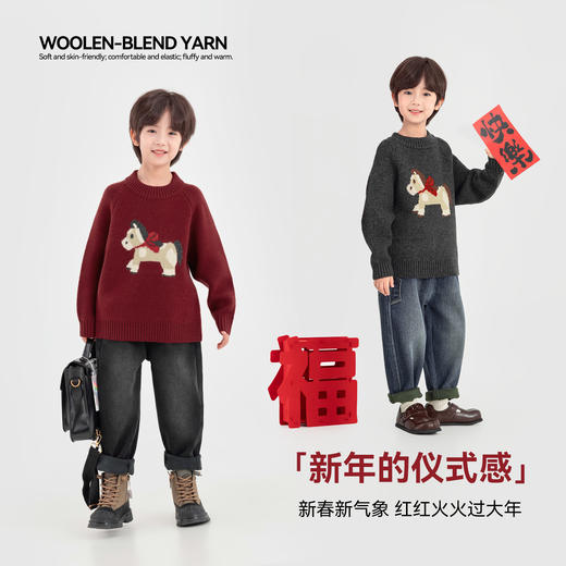 【件件底价，童装双倍积分】多多家男童毛衣针织衫2025冬装新款秋冬款11267 商品图1