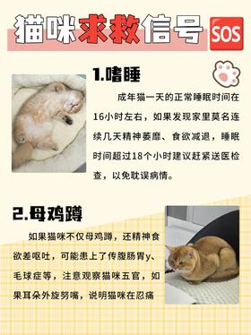 一定要知道❗️❗️❗️猫咪的求救信号🆘