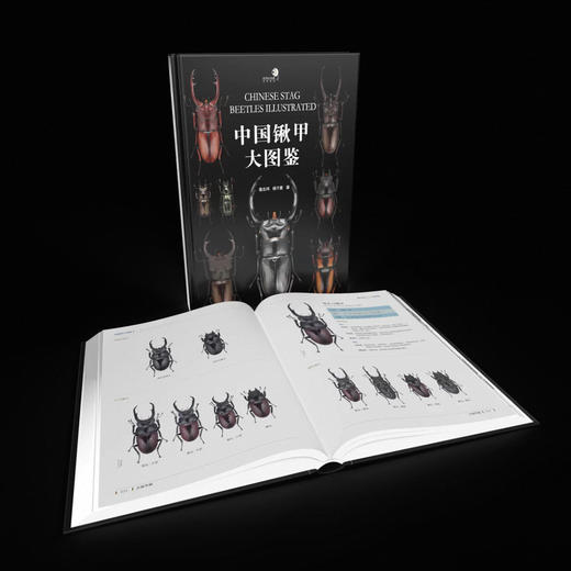 【官方正版】《中国锹甲大图鉴》甲虫书籍甲虫科普锹甲昆虫自然科学 ★ 牧野官方授权-分销 商品图1