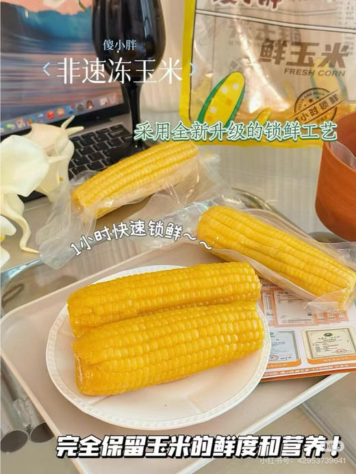 傻小胖鲜玉米 商品图5