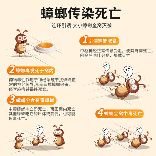 宜家杀蟑铒剂买一送一（6+3）下单到手共18个 商品图4