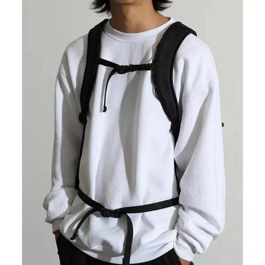 【开放日忙 秒杀价已调 直接拍】鸟Mantis 26 男女款双肩包 超经典超难买的一款背包 可装笔记本 商品图3