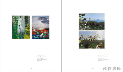 Gerhard Richter: Landscape / 格哈德·里希特：风景 商品图4