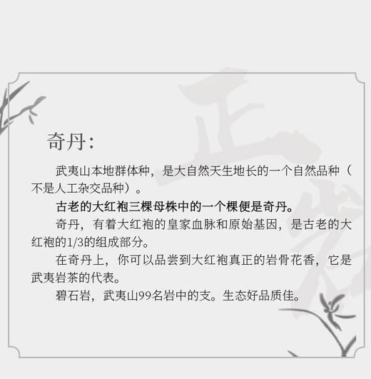 碧石岩奇丹 6泡*8.3克 约50克 荔枝木碳焙 武夷正岩茶 商品图5