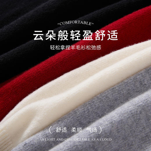 【100绵羊毛】罗蒙秋冬百搭时尚保暖羊毛衫半高领打底衫毛衣上衣女 商品图5