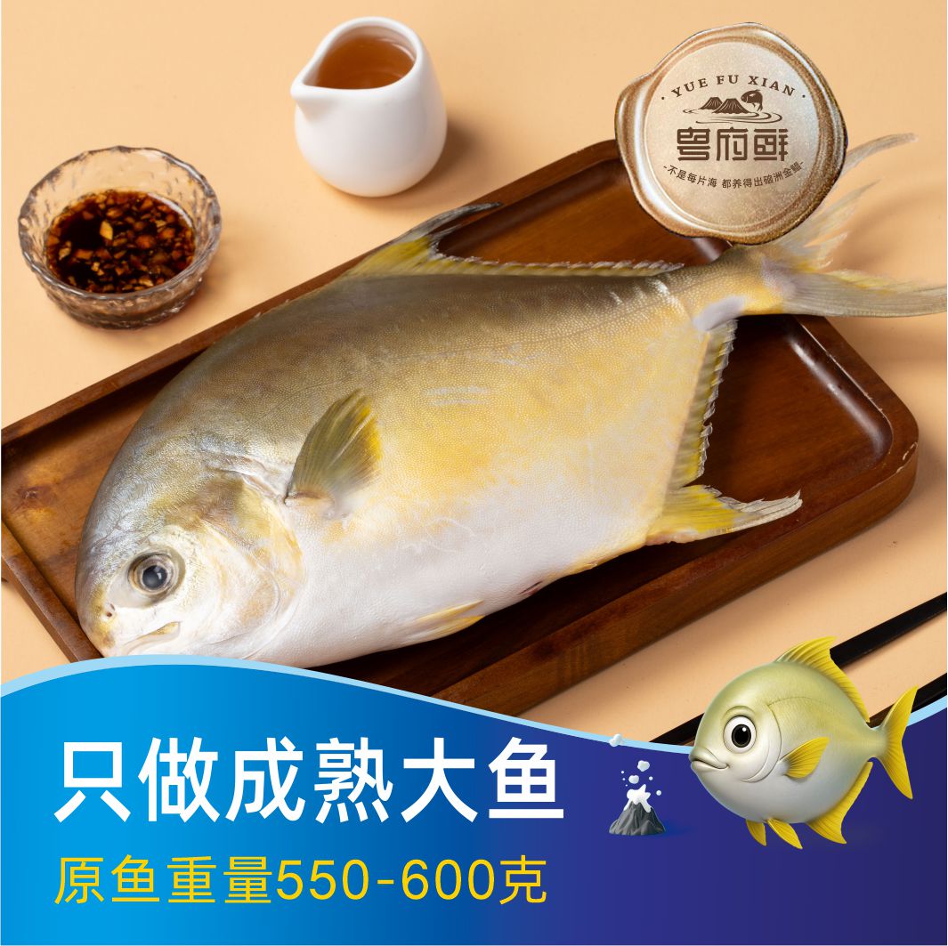 粤府鲜  淡晒金鲳鱼（390-425克装）
