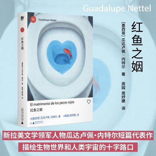 瓜达卢佩·内特尔作品集（共3册）| 真正的孤独+红鱼之姻+独生女儿 商品图2